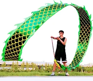 3D Dragon Poi with 340g Weighted Ball & 1.1 Meters Swing Rope - Silk Flowy Shaking & Flinging Chinese Golden Dragon Ribbon Streamer   Travel Carry Bag! (6 Meters (19.6 FT), Golden Green Dragon)