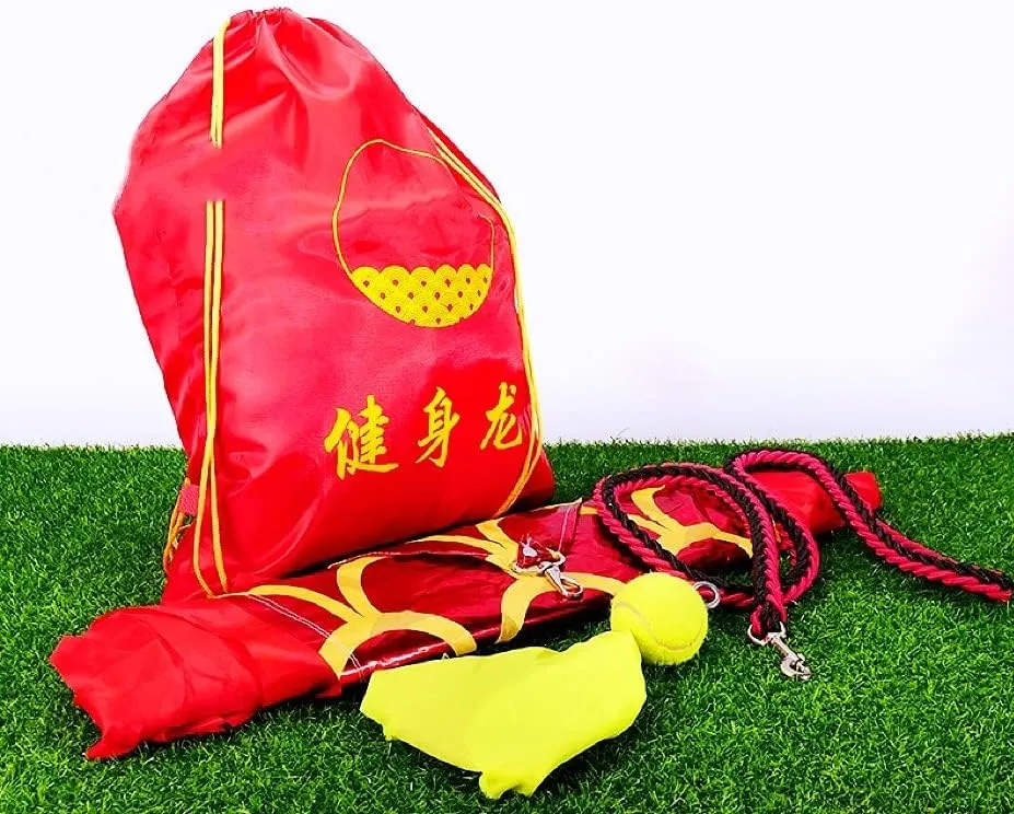 6 Meters (19.6 FT) Square Exercise Dragon Poi with 340g Weighted Ball and 1.2 Meters Swing Rope, Outdoor Flinging Fitness Dragon Dance Wu Long 3D Dragon Ribbon Streamer