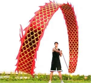 8 Meters (26.2 FT) Square Exercise Dragon Poi with 340g Weighted Ball and 1.2 Meters Swing Rope, Outdoor Flinging Fitness Dragon Dance Wu Long 3D Dragon Ribbon Streamer