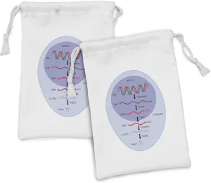 Ambesonne Biology Fabric Pouch Set of 2, Molecular Gene Translation Stem Cell Themed Chart, Small Drawstring Bag for Toiletries Masks and Favors, 9" x 6", Pale Ceil Blue Ceil Blue
