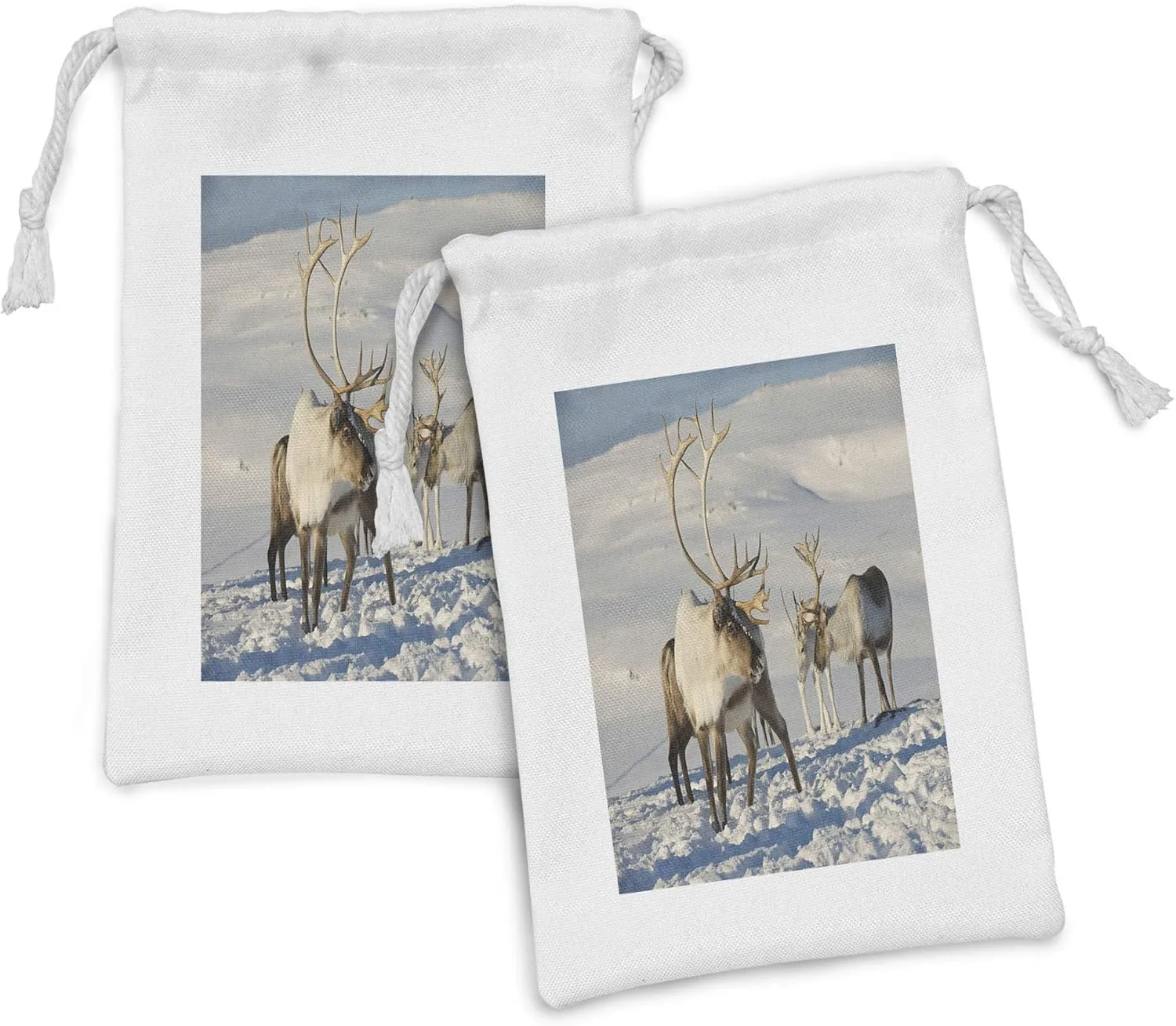 Ambesonne Winter Fabric Pouch Set of 2, Reindeers Natural Environment Tromso Northern Norway Caribou Antler Wildlife, Small Drawstring Bag for Toiletries Masks and Favors, 9" x 6", Brown Ivory Blue