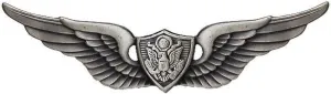 Basic Aviation Army Crewman Wings Pin Oxidized, Silver, One Size
