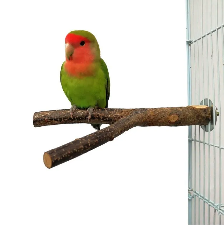 Bird Standing Frame Rattan Ring, Chewing Toy in Bird Cage