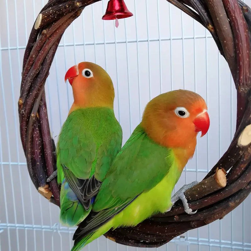 Bird Standing Frame Rattan Ring, Chewing Toy in Bird Cage