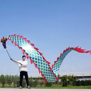 DSJUGGLING 26.2 FT Square Exercise Dance Dragon Poi with 3D Dragon Head and Swing Rope Combo, Chinese Wulong Flowy Ribbon Streamer Outdoor Fitness Dragon Stage Prop Set (Golden Blue)