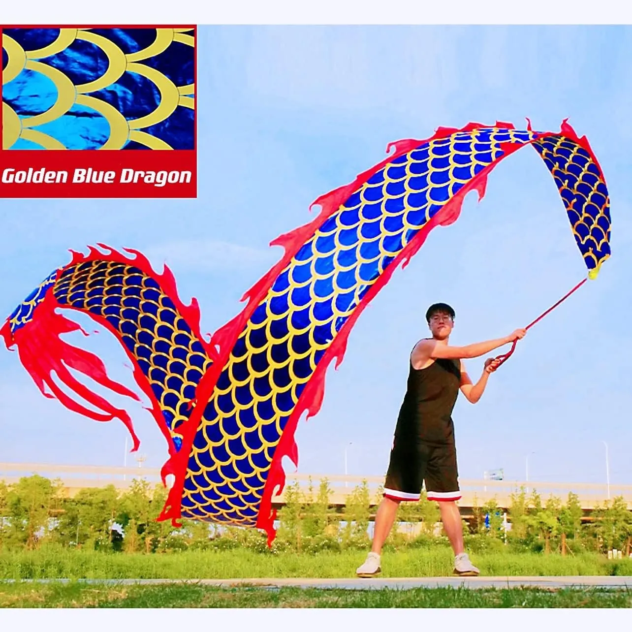 DSJUGGLING 3D Dragon Poi with 340g Weighted Ball & 1.1 Meters Swing Rope - Silk Flowy Shaking & Flinging Chinese Golden Dragon Ribbon Streamer   Travel Bag! (6 Meters (19.6 FT), Golden Blue Dragon)