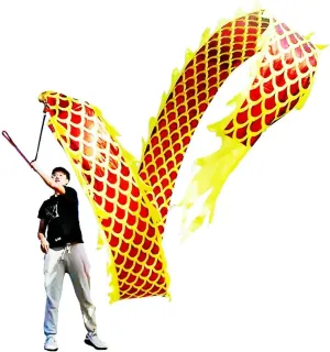 DSJUGGLING 3D Dragon Poi with 340g Weighted Ball & 1.1 Meters Swing Rope - Silk Flowy Shaking & Flinging Chinese Golden Dragon Ribbon Streamer   Travel Bag! (8 Meters (26.2 FT), Golden Gold Dragon)