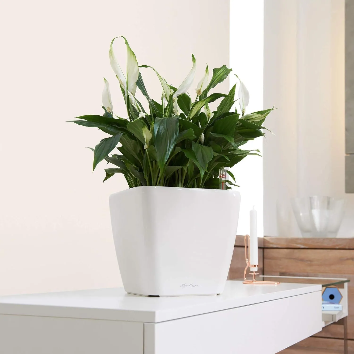 Lechuza Quadro Premium LS 28 Silver Metallic 16148