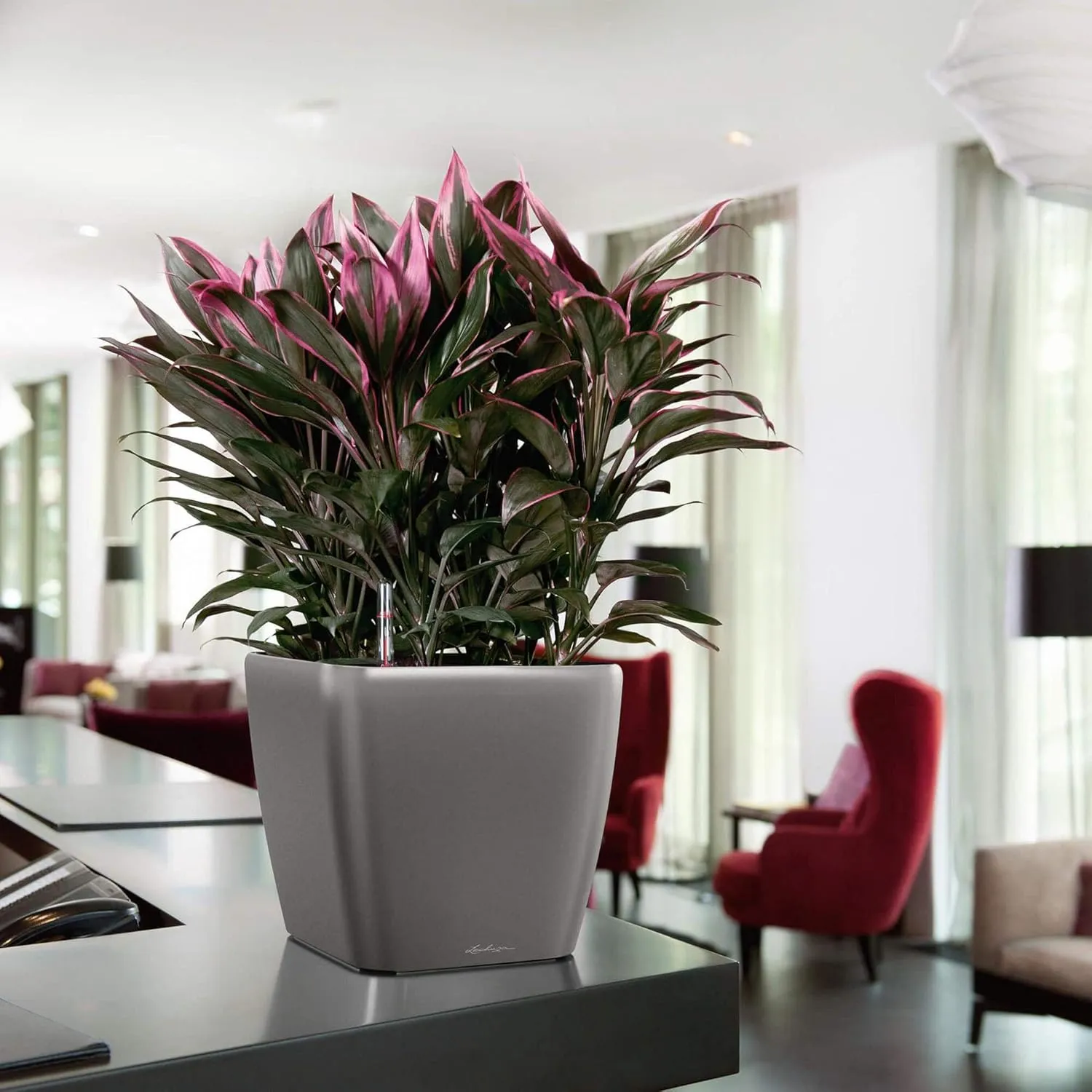 Lechuza Quadro Premium LS 28 Silver Metallic 16148