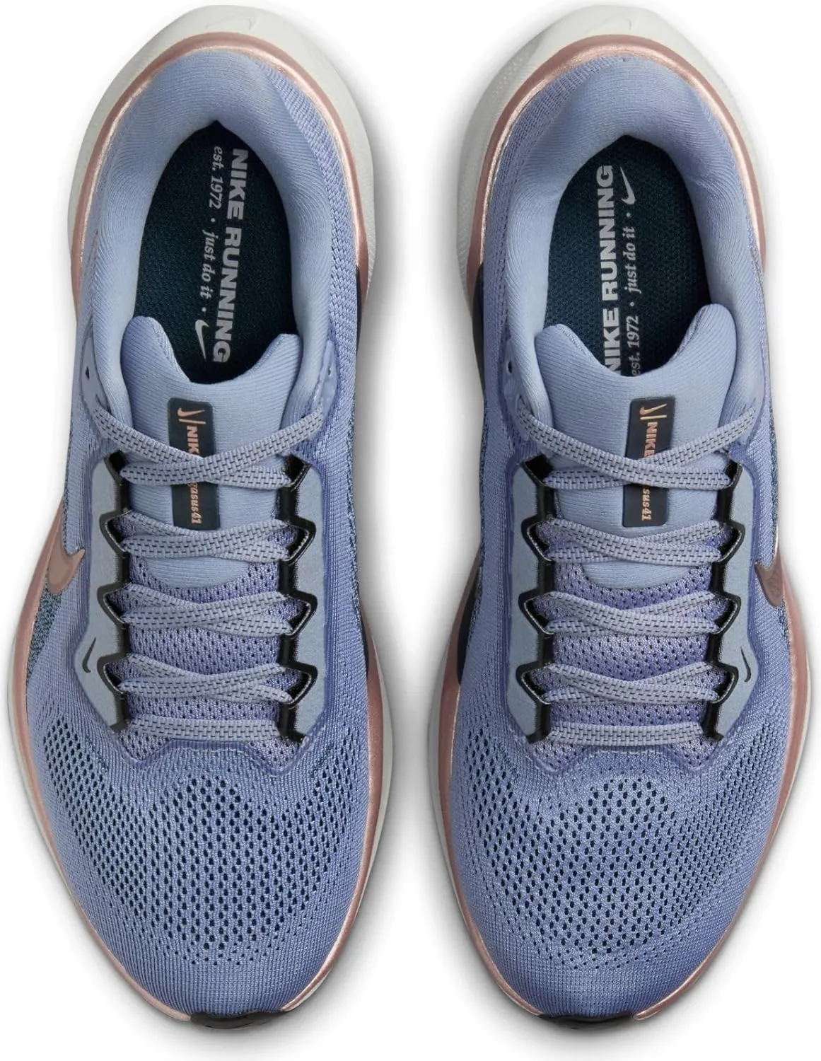 Nike Pegasus 41 Women's Road Running Shoes (FD2723-005, Phantom/Light Pumice/Sail/Metallic Gold)