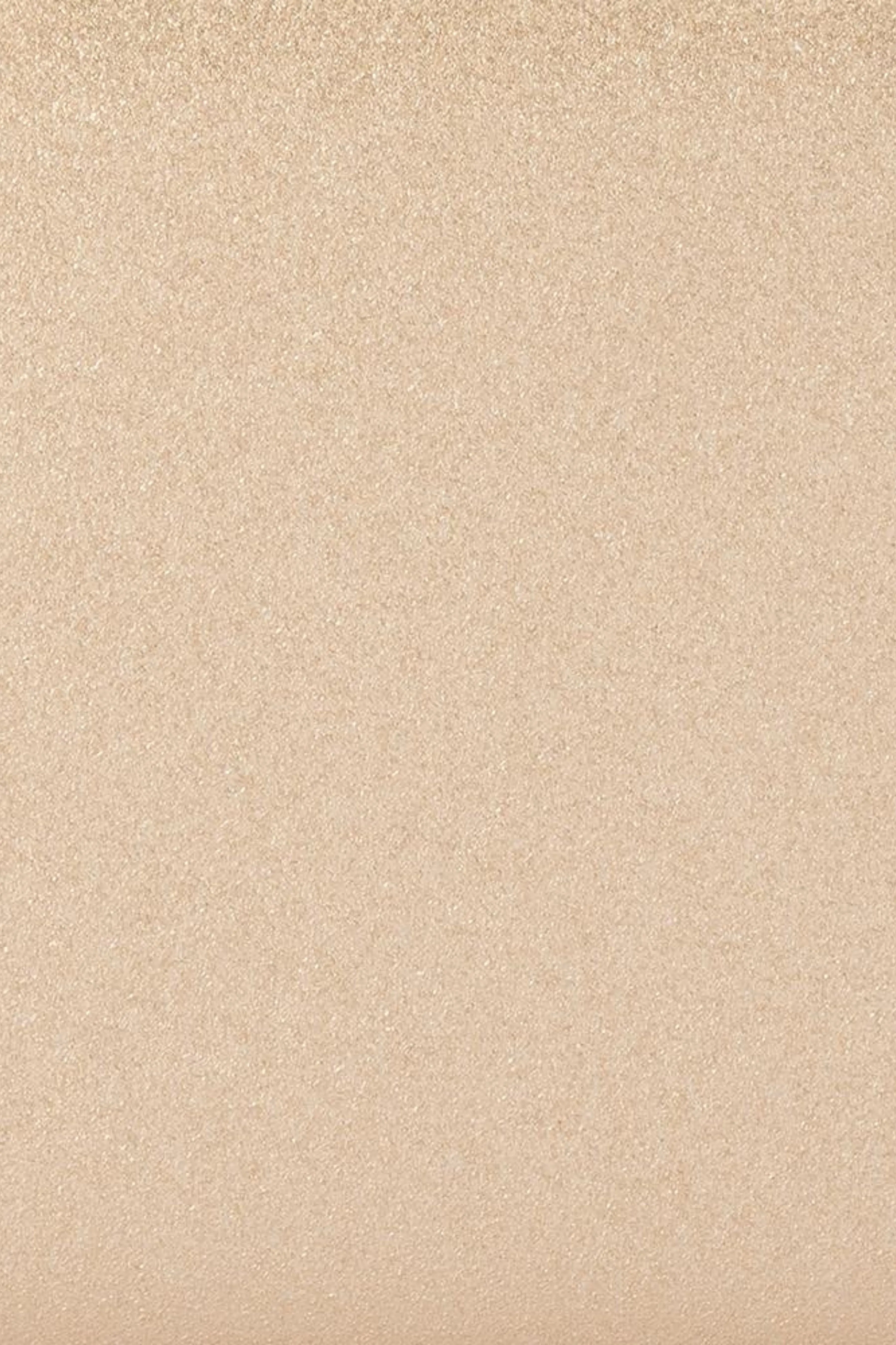 Precious Metallic Slimline Clutch - Champagne Gold