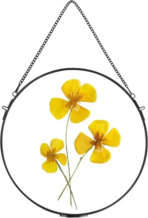 REDHUGO Glass Frame for Pressed Flowers Handmade, Wall Hanging Brass Floating Frame, Double Glass Round Picture, Glass Frame for Dried Flowers Poster Home Wall Decor, Circle, Black (FRAME ONLY)