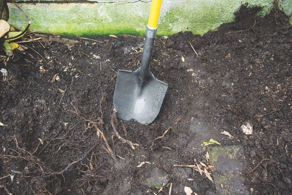 Roughneck  Round Head Shovel