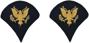 US Army Male Rank Gold On Blue Chevrons For ASU